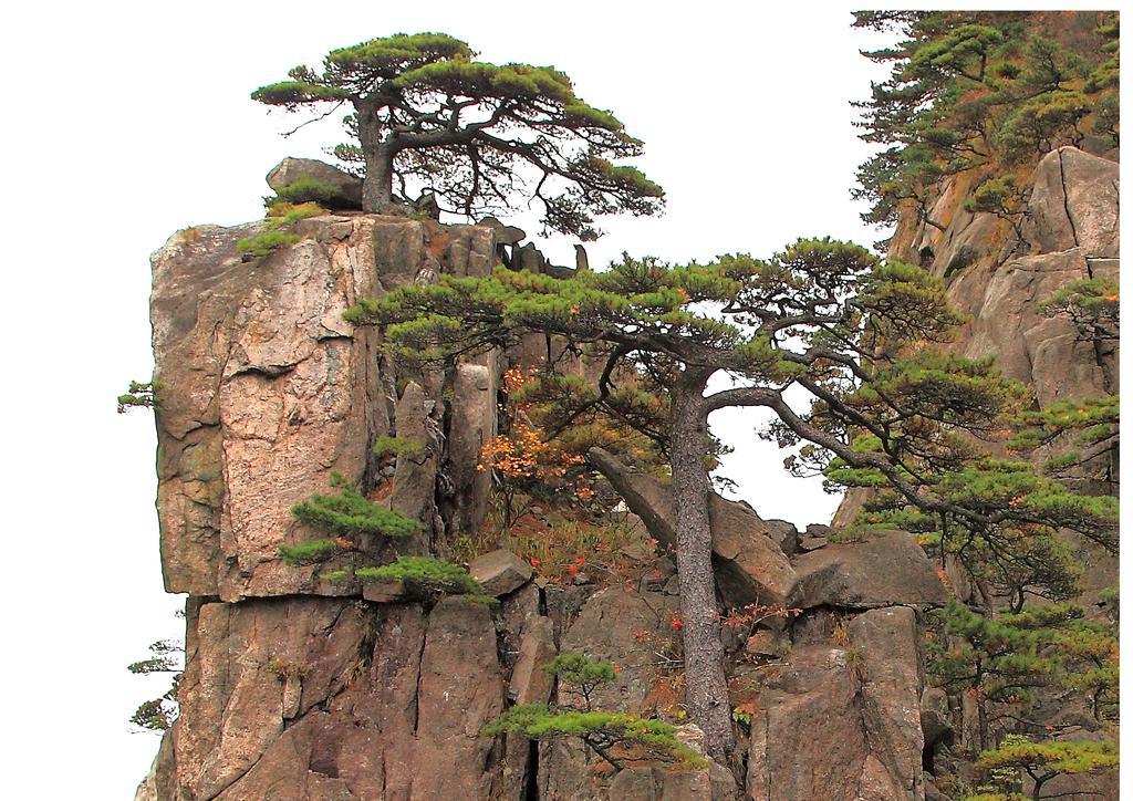 Huangshan Shilin Hotel Экстерьер фото